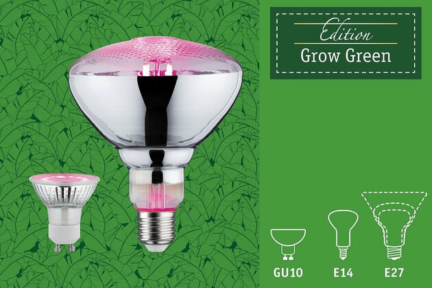 PAULMANN LED Grow Green reflektor lampa pro rostliny 6,5 W E27 na růst rostlin 287.37