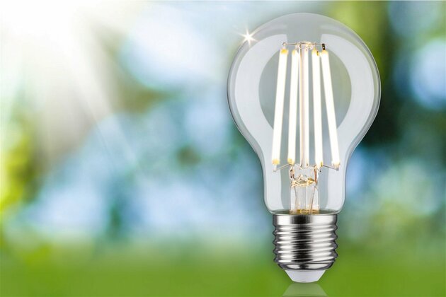 PAULMANN Eco-Line Filament 230V LED žárovka E27 1ks-sada 4W 3000K čirá