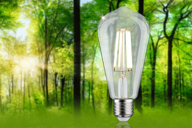 PAULMANN Eco-Line Filament 230V LED žárovka ST64 E27 4W 4000K čirá