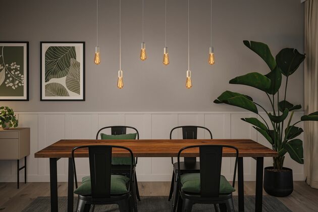PAULMANN Rustic Shine Standard 230V LED žárovka E27 Filament S-Form 4,2W 1800K stmívatelné zlatá