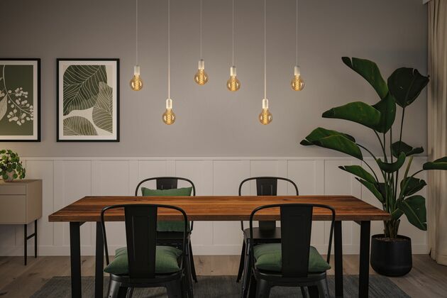 PAULMANN Rustic Shine Standard 230V LED Globe E27 Filament S-Form 4,2W 1800K stmívatelné zlatá