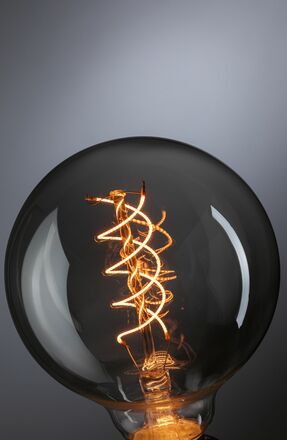 PAULMANN Rustic Shine Standard 230V LED Globe E27 Filament S-Form 4,2W 1800K stmívatelné kouřové sklo