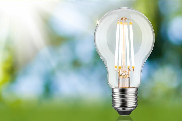 PAULMANN Eco-Line Filament 230V LED žárovka E27 4,3W 3000K stmívatelné čirá