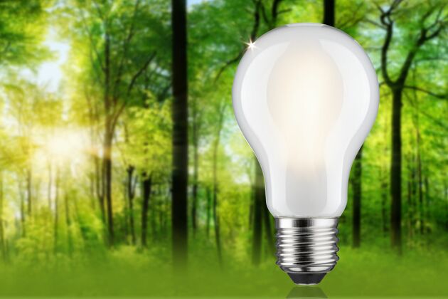 PAULMANN Eco-Line Filament 230V LED žárovka E27 2,5W 3000K stmívatelné mat