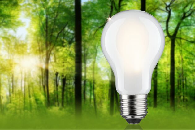 PAULMANN Eco-Line Filament 230V LED žárovka E27 4,3W 3000K stmívatelné mat
