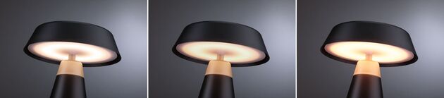 PAULMANN Nabíjecí bateriové svítidlo Lirox IP44 CCT černá/šampaň