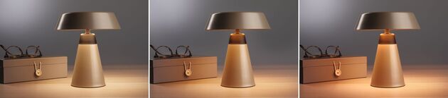 PAULMANN Nabíjecí bateriové svítidlo Lirox IP44 CCT šampaň/černá