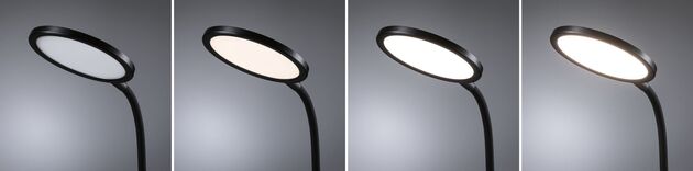 PAULMANN LED stolní lampa na psací stůl Mejan 4000K 15W černá mat