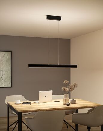 PAULMANN LED závěsné svítidlo Raiko RGBW+ stmívatelné / 19W / 6W černá