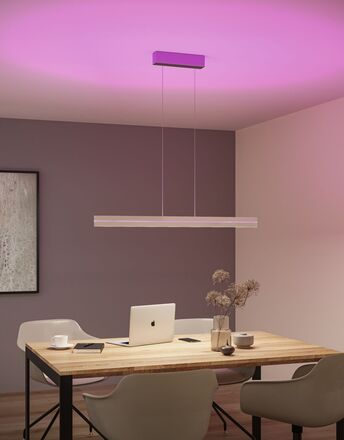 PAULMANN LED závěsné svítidlo Raiko RGBW+ stmívatelné / 19W / 6W stříbrná mat