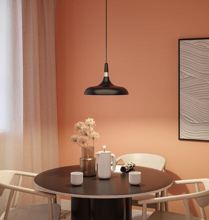 PAULMANN Závěsné svítidlo Juna E27 max. 20W černá mat/šampaň stmívatelné kov