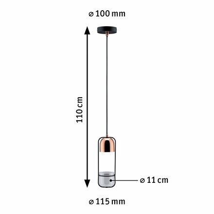 PAULMANN Závěsné svítidlo Fanano 1-ramenné pro osvětlení rostlin černá/měď 797.49 P 79749