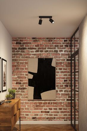 PAULMANN Spotlight Lirena GU10 max. 2x10W černá mat kov