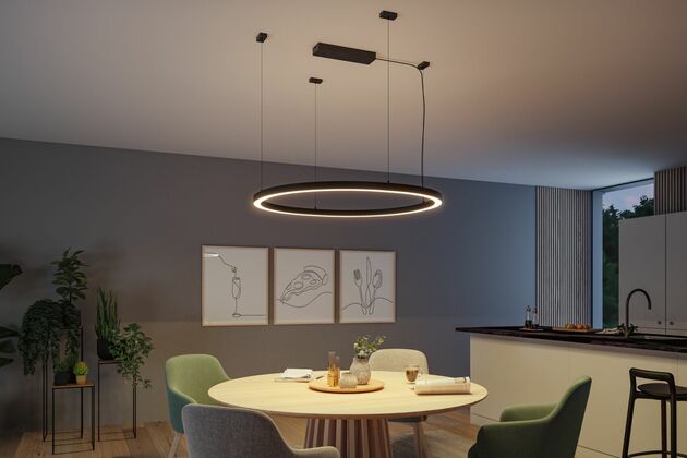 PAULMANN Linion napájení Power Box Zigbee 230/24V max. 144W černá