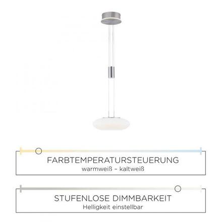 PAUL NEUHAUS, Q-ETIENNE, LED závěsné svítidlo ocel, Smart Home ZigBee 2700-5000K 2075-55