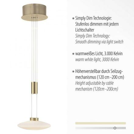 PAUL NEUHAUS LED závěsné svítidlo, nastavitelná výška, matná mosaz, kruhové SimplyDim 3000K
