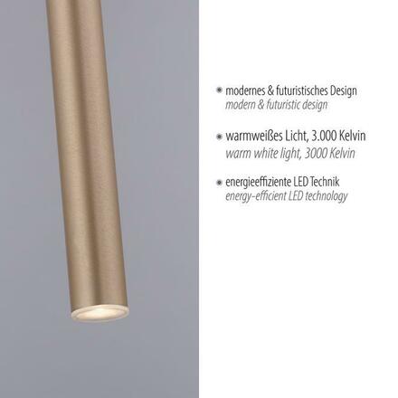 PAUL NEUHAUS LED závěsné svítidlo matná mosaz 1 ramenné teplá bílá subtilní design 3000K PN 2111-60
