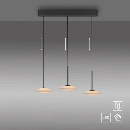 PAUL NEUHAUS LED závěsné svítidlo ELIPSA, černá, Comfort Lift, stmívatelné 3000K