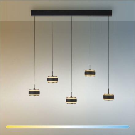 PAUL NEUHAUS Závěsné svítidlo PURE Falling Rings, černá / metalická šedá 2200-5000K