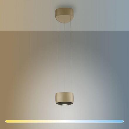 PAUL NEUHAUS LED závěsné svítidlo Q-STRETTO, bronzová, stmívatelné, dálkový ovladač ZigBee 2200-5000K