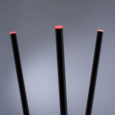 PAUL NEUHAUS, Q-Peter, LED stojací svítidlo antracit, Smart Home ZigBee RGB+2700-5000K 338-13