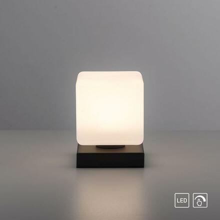 PAUL NEUHAUS LED stolní lampa, antracit, tvar kostky, dotykový stmívač, nadčasový design 3000K