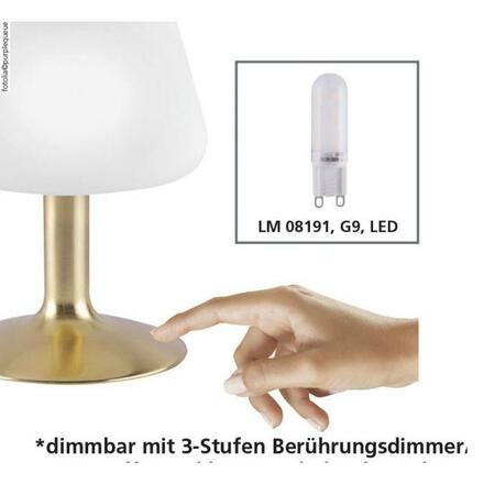 PAUL NEUHAUS LED stolní lampa v oceli a stínítkem z opálového skla, teplá bílá barva vč. dotykového stmívání 3000K PN 4078-55
