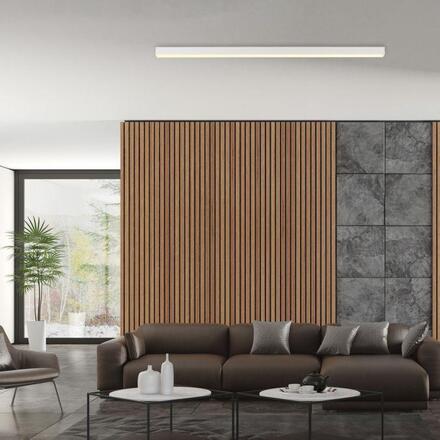 PAUL NEUHAUS LED stropní svítidlo PURE Lines Straight, bílá 2200-5000K