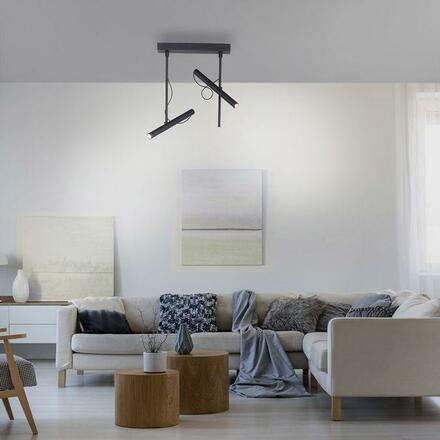 PAUL NEUHAUS PURE TUTUA LED stropní svítidlo 2 ramenné, černá, otočné 3000K