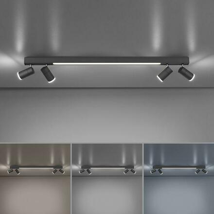 PAUL NEUHAUS PURE LINES LED bodové svítidlo antracit stmívatelné otočné CCT 2700-5000K