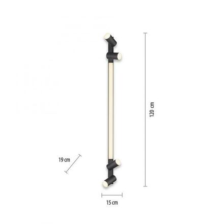 PAUL NEUHAUS PURE LINES LED bodové svítidlo antracit stmívatelné otočné CCT 2700-5000K