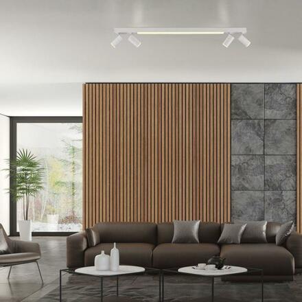 PAUL NEUHAUS LED stropní svítidlo PURE Lines spot bílá, stmívatelné, dálkový ovladač 2200-5000K