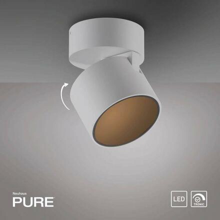 PAUL NEUHAUS LED stropní svítidlo PURE Cup bílá 2700K