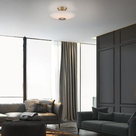 PAUL NEUHAUS LED stropní svítidlo, ELIPSA, kávová, stmívatelné, opálové sklo 3000K