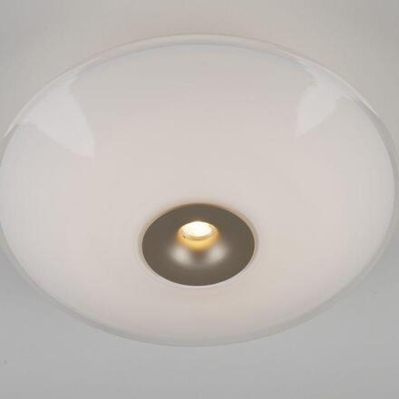 PAUL NEUHAUS LED stropní svítidlo, ELIPSA, kávová, stmívatelné, opálové sklo 3000K