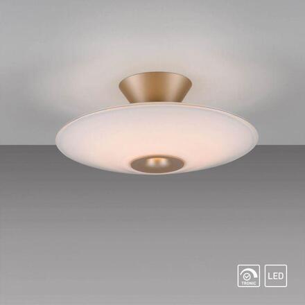 PAUL NEUHAUS LED stropní svítidlo, ELIPSA, kávová, stmívatelné, opálové sklo 3000K