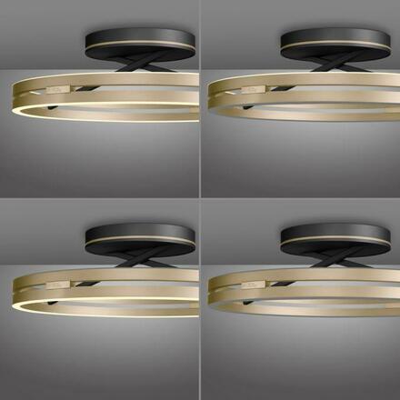 PAUL NEUHAUS Stropní svítidlo PURE Loop LED 7W 2700-5000K + LED 30W 2700-5000K černá/zlatá slonová kost 6552-68