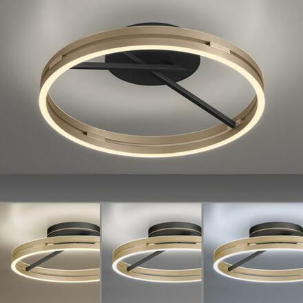 PAUL NEUHAUS Stropní svítidlo PURE Loop LED 7W 2700-5000K + LED 30W 2700-5000K černá/zlatá slonová kost 6552-68