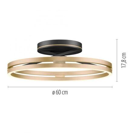 PAUL NEUHAUS Stropní svítidlo PURE Loop LED 7W 2700-5000K + LED 30W 2700-5000K černá/zlatá slonová kost 6552-68