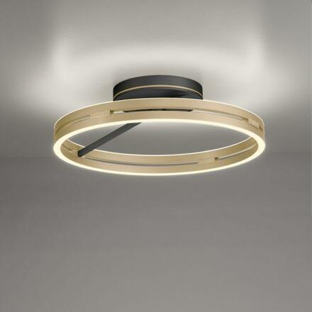 PAUL NEUHAUS Stropní svítidlo PURE Loop LED 7W 2700-5000K + LED 30W 2700-5000K černá/zlatá slonová kost 6552-68