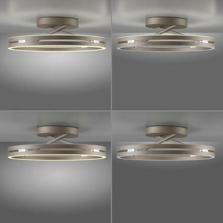 PAUL NEUHAUS LED stropní svítidlo PURE Loop, bronzová, stmívatelné, dálkový ovladač 2200-5000K