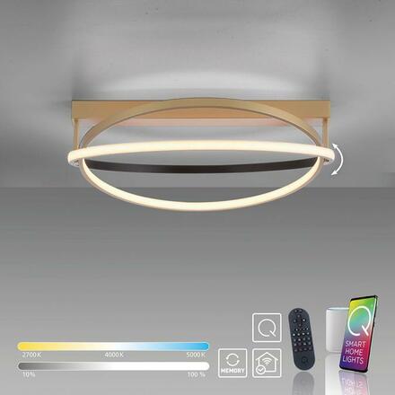 PAUL NEUHAUS LED stropní svítidlo Q-BELUGA matná mosaz stmívatelné Smart Home ZigBee 2700-5000K PN 6739-60