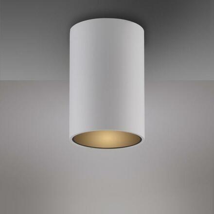 PAUL NEUHAUS LED stropní svítidlo PURE Point, bílá, vnitřní, stmívatelné 2700K