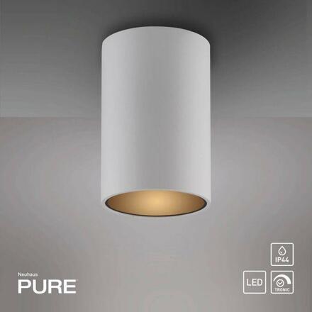 PAUL NEUHAUS LED stropní svítidlo PURE Point, bílá, vnitřní, stmívatelné 2700K