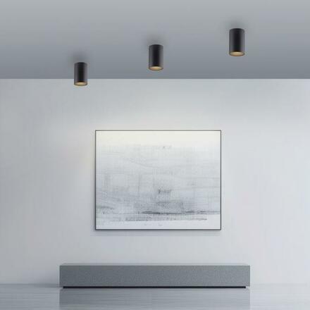 PAUL NEUHAUS LED stropní svítidlo PURE Point, černá, vnitřní, stmívatelné 2700K