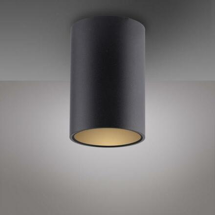 PAUL NEUHAUS LED stropní svítidlo PURE Point, černá, vnitřní, stmívatelné 2700K
