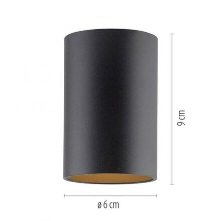 PAUL NEUHAUS LED stropní svítidlo PURE Point, černá, vnitřní, stmívatelné 2700K