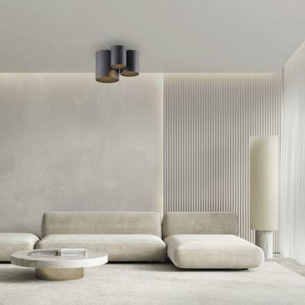 PAUL NEUHAUS LED stropní svítidlo PURE Point, černá, vnitřní, stmívatelné 2700K
