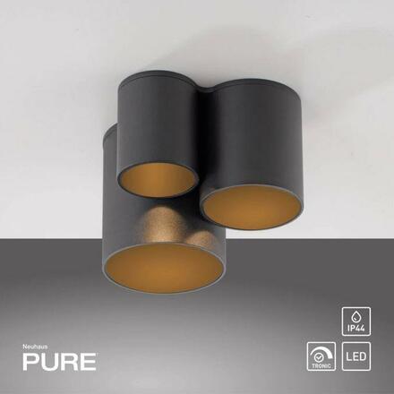 PAUL NEUHAUS LED stropní svítidlo PURE Point, černá, vnitřní, stmívatelné 2700K