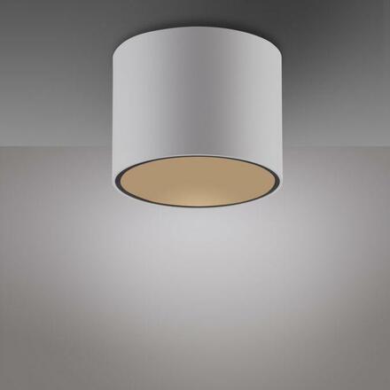 PAUL NEUHAUS LED stropní svítidlo PURE Point, bílá, vnitřní stmívatelné 2700K